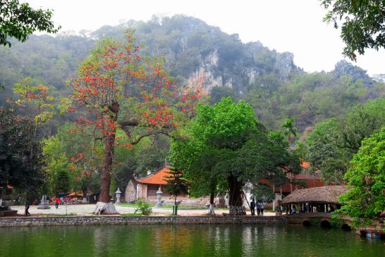 Thay-pagoda-Hanoi-Vietnam-2